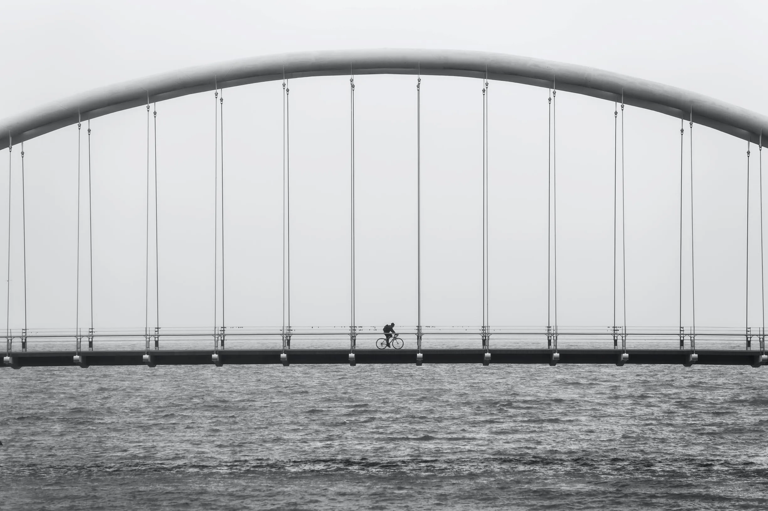 A cyclist crosses a suspension bridge over water, framed by vertical cables and an arched structure.