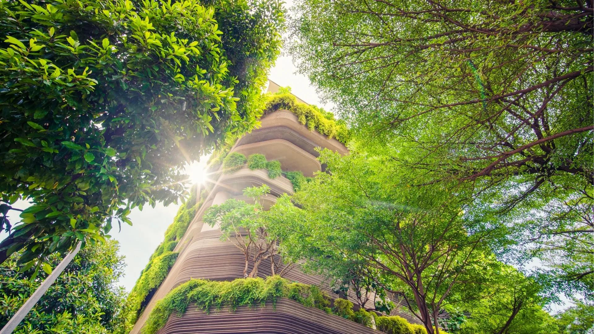 A modern building adorned with lush greenery, surrounded by vibrant trees and sunlight filtering through.