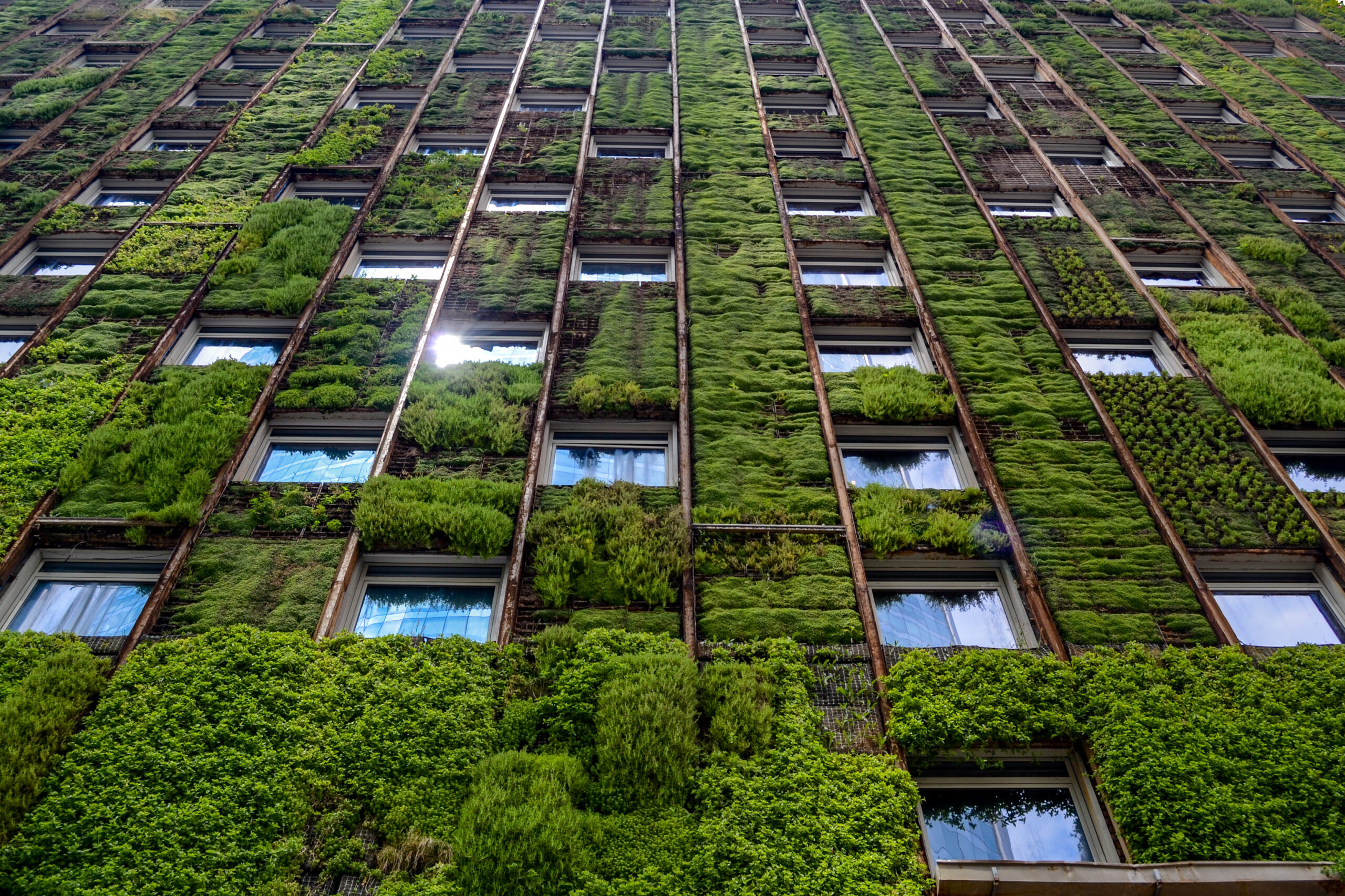 A building facade covered in lush green vegetation, integrating windows amidst vertical greenery.
