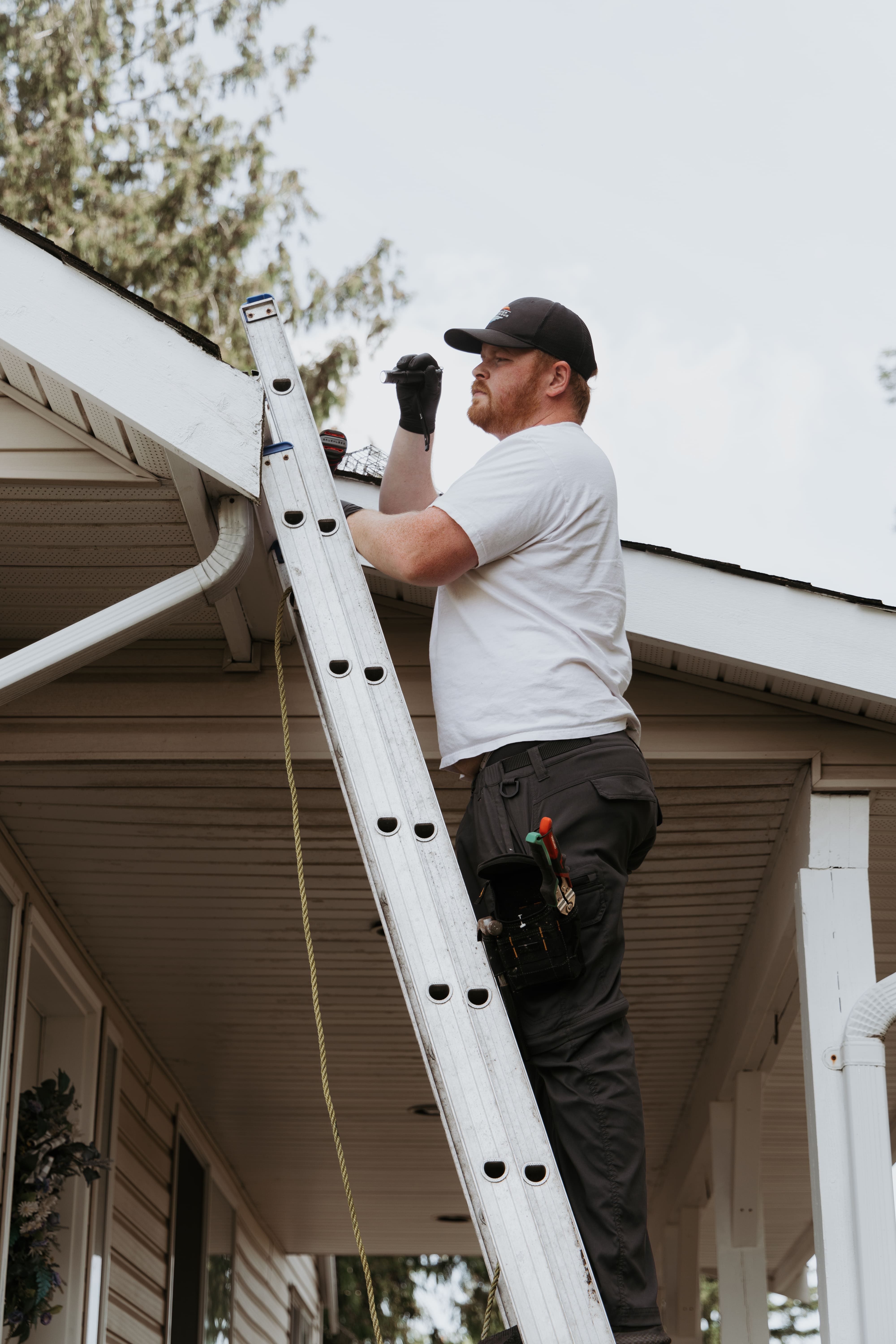 pest control abbotsford