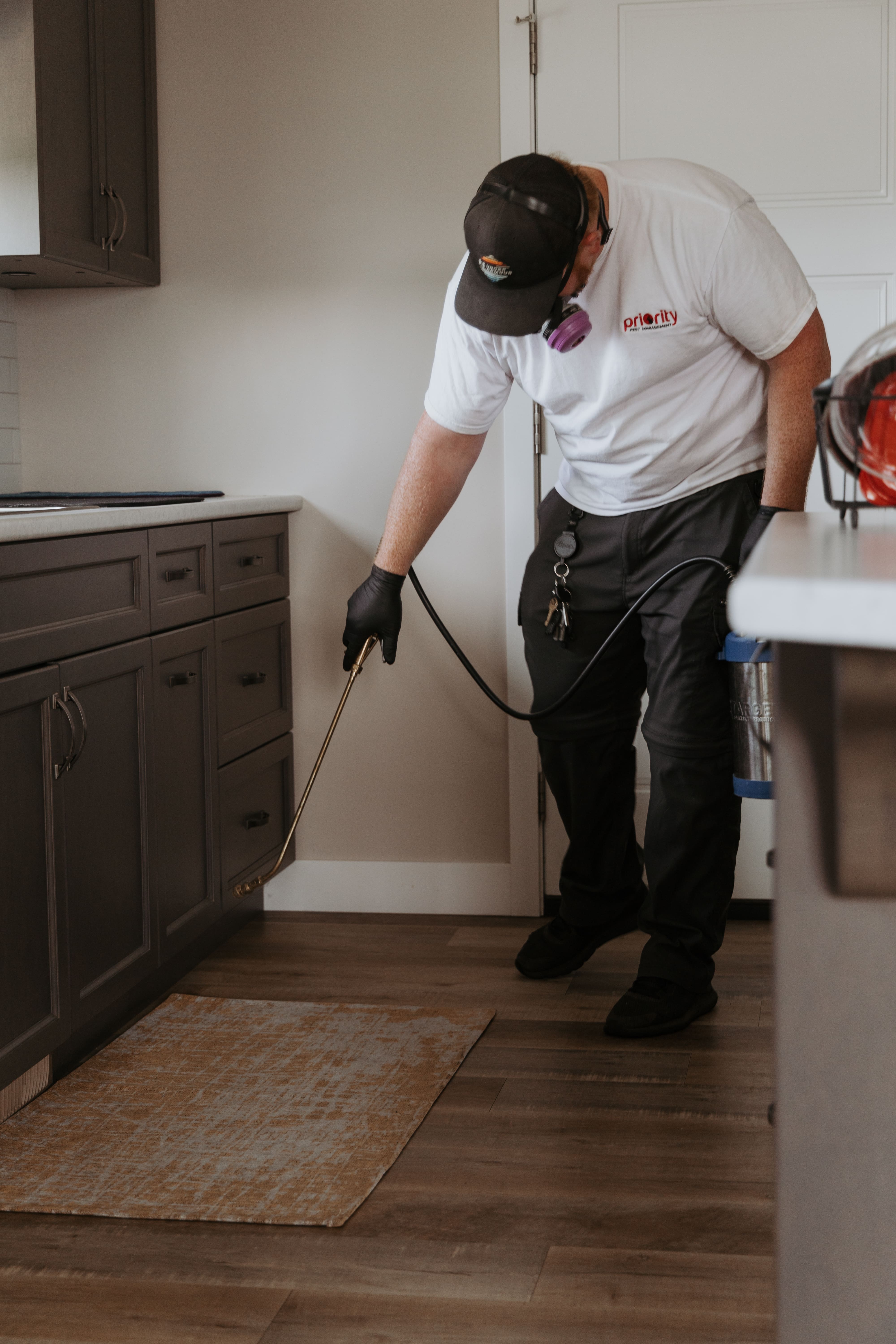 pest control abbotsford