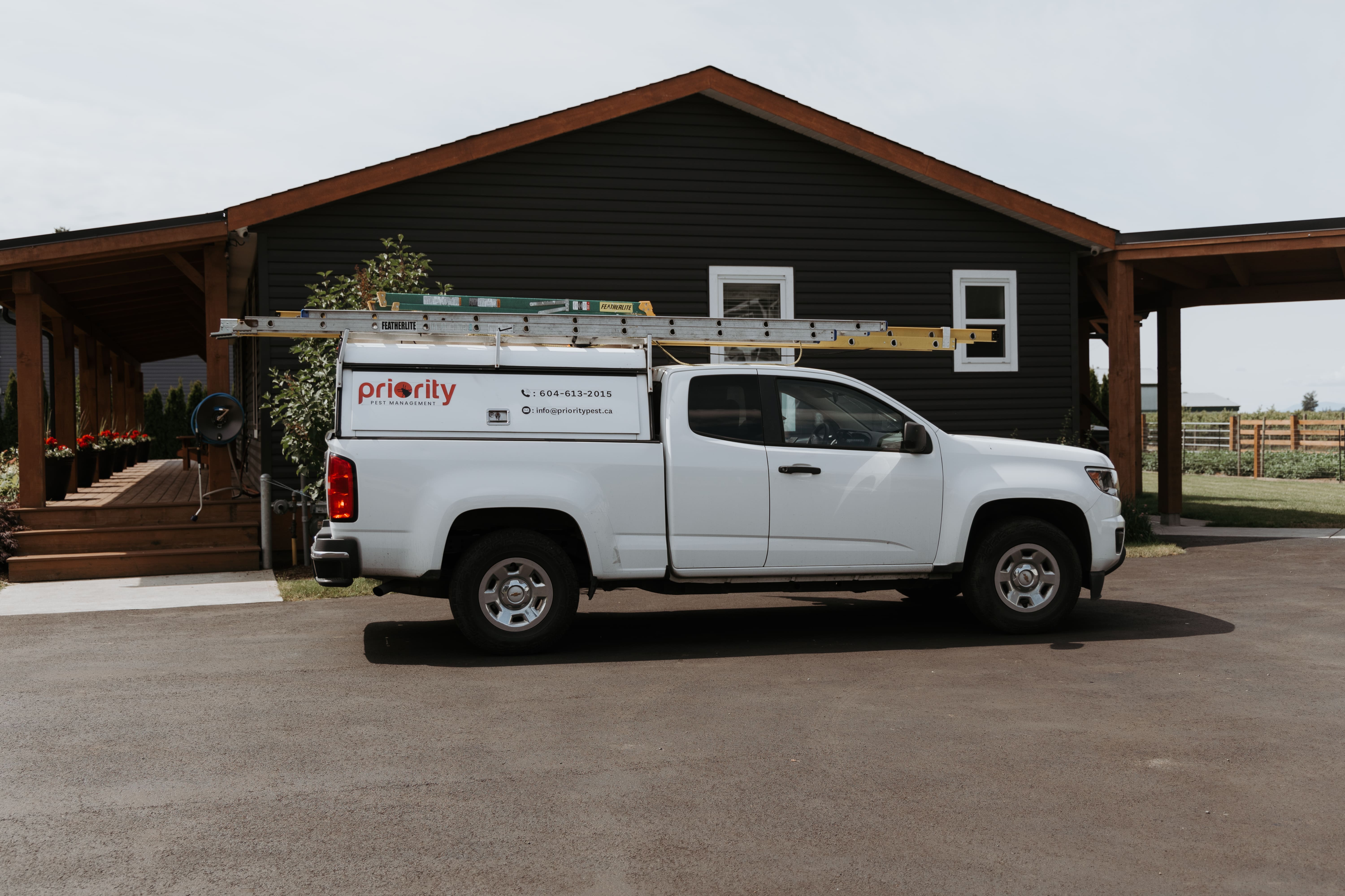pest control abbotsford