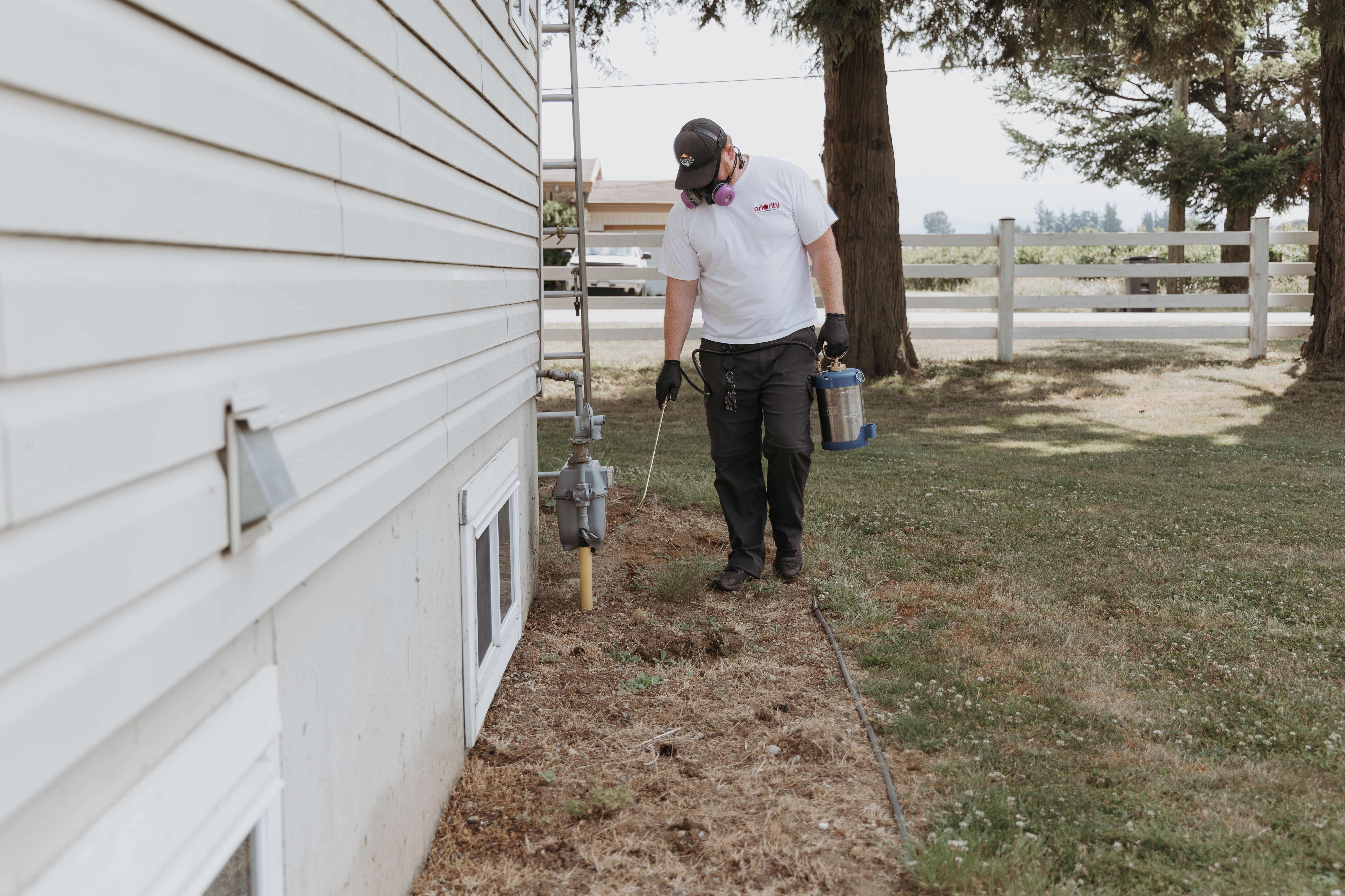pest control abbotsford