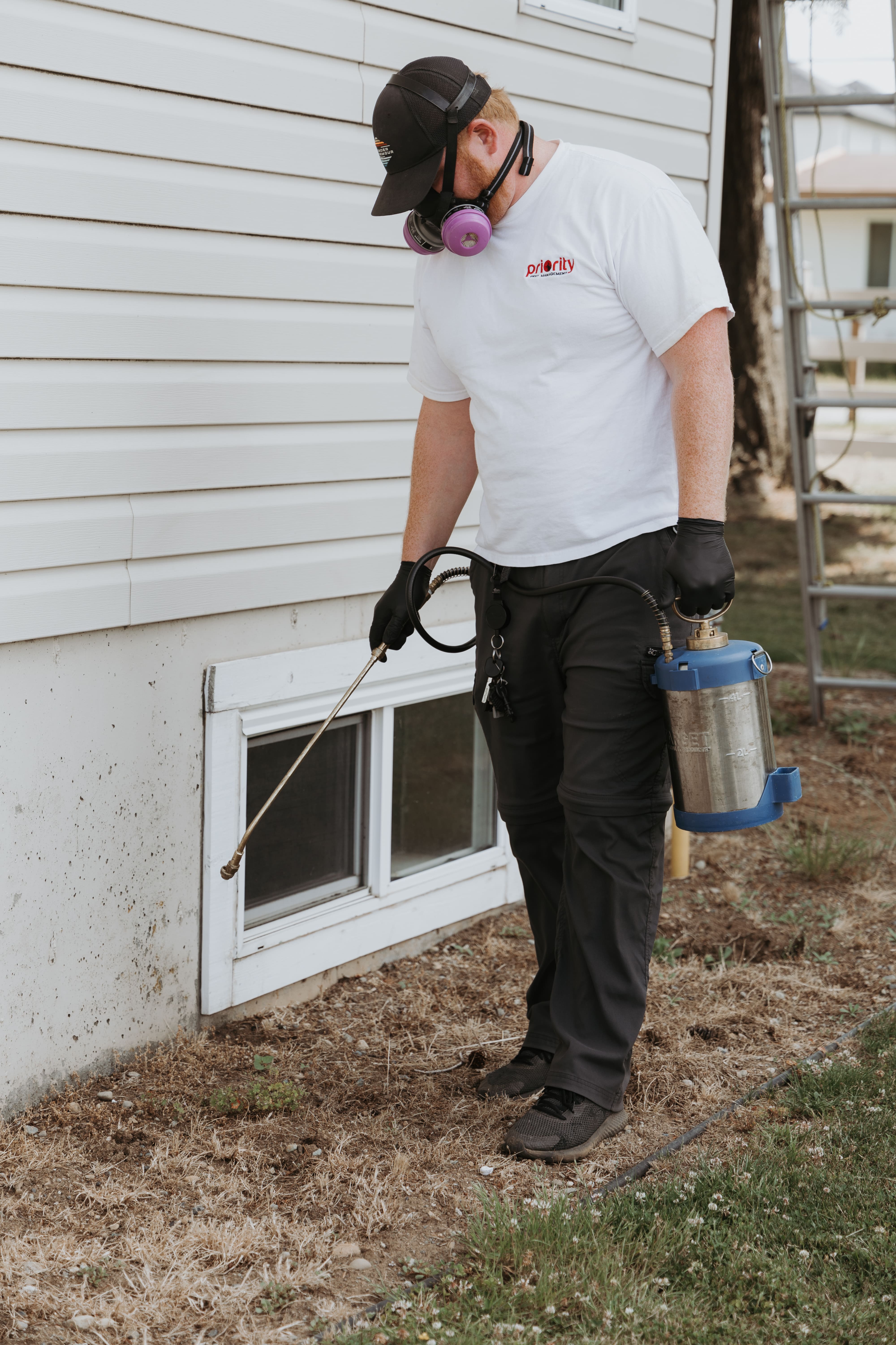 pest control abbotsford