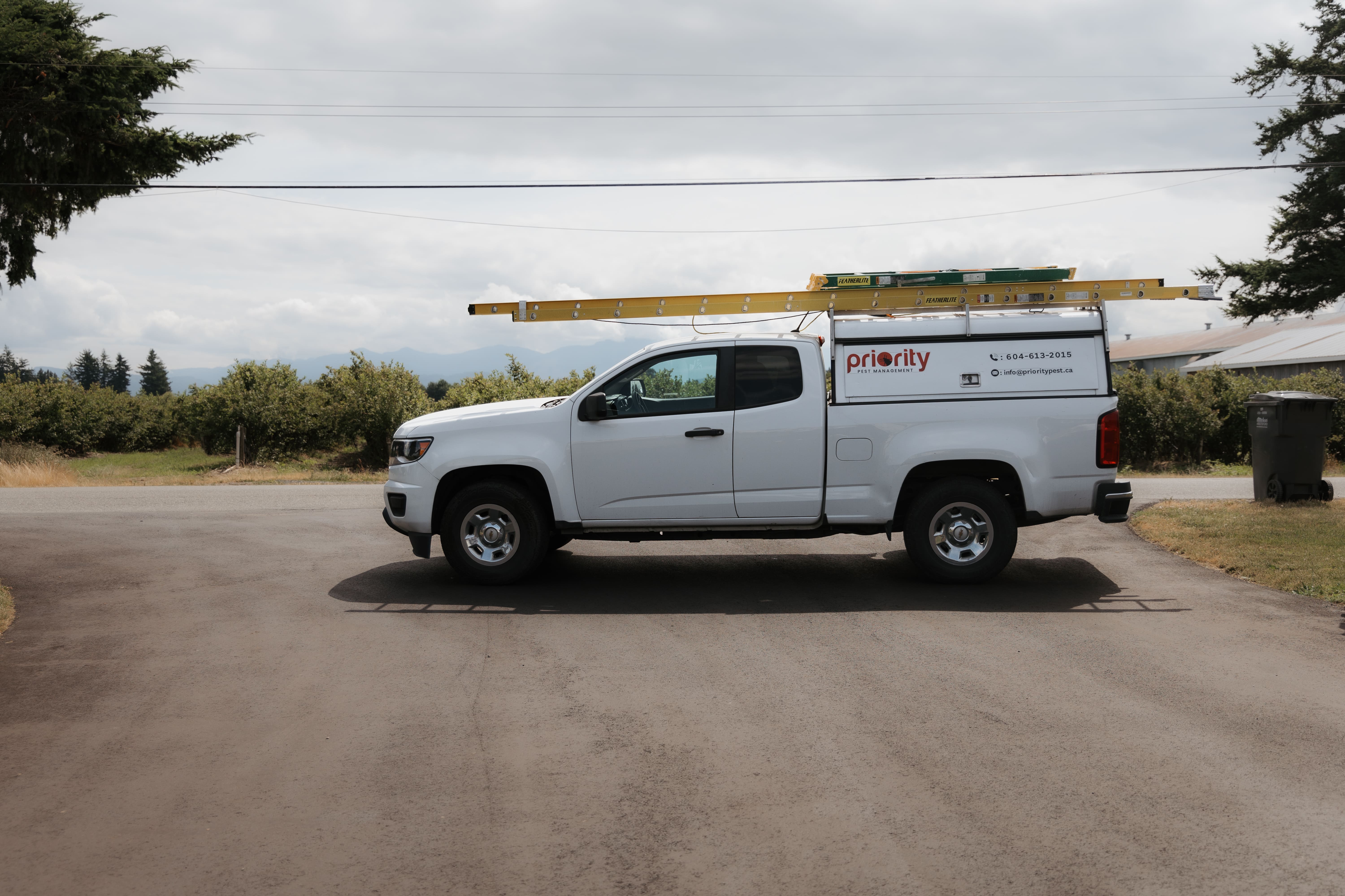 pest control abbotsford