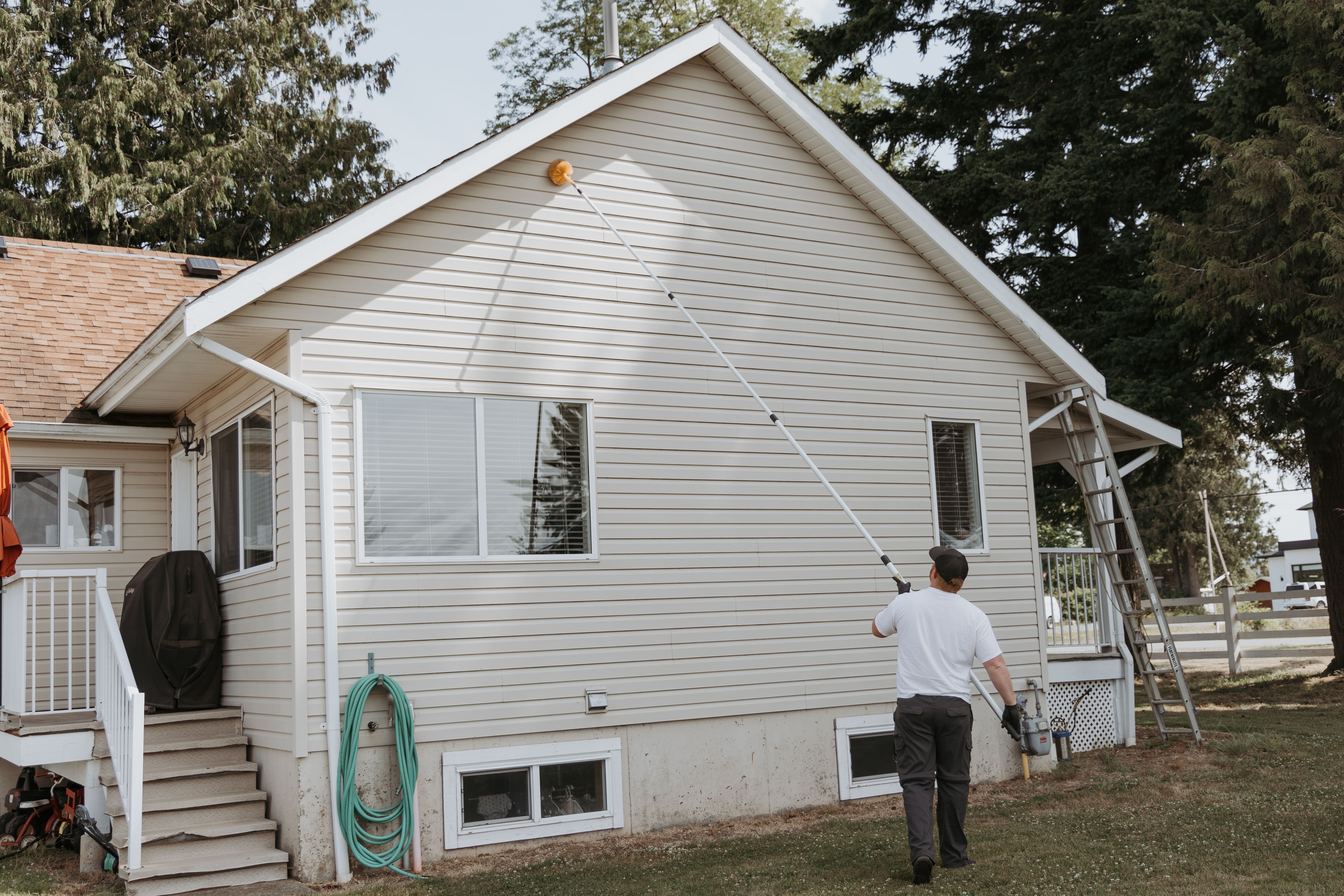 pest control abbotsford