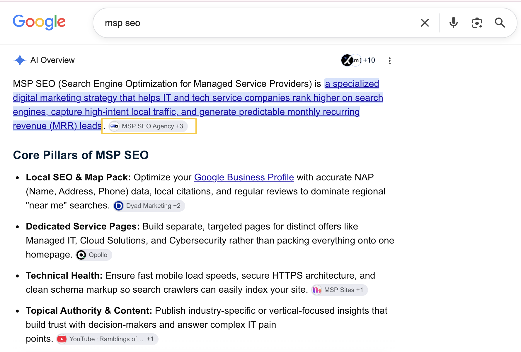 Screenshot of AI overview