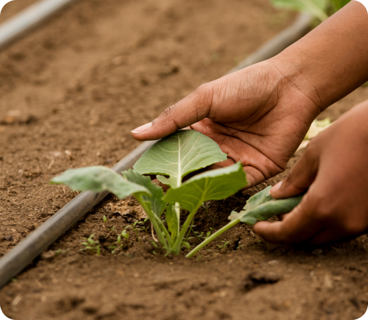 Soil testing