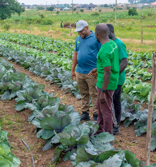 Demeter Ghana farm management team