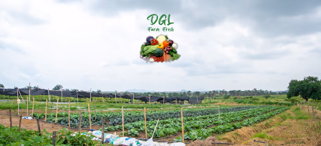 DGL Farm Fresh image view