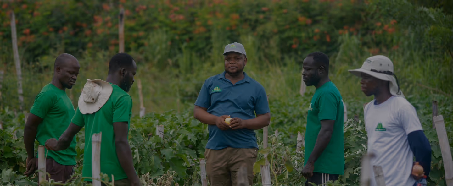 Demeter Ghana's people working