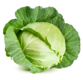 Cabbage image