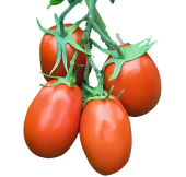 Cherry tomato image