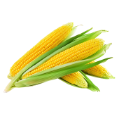 Maize image