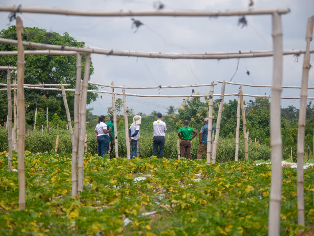 Demeter Ghana team and management on the farm