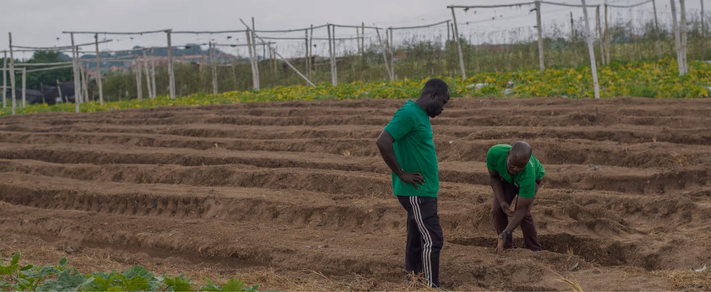 Soil testing on the ground 