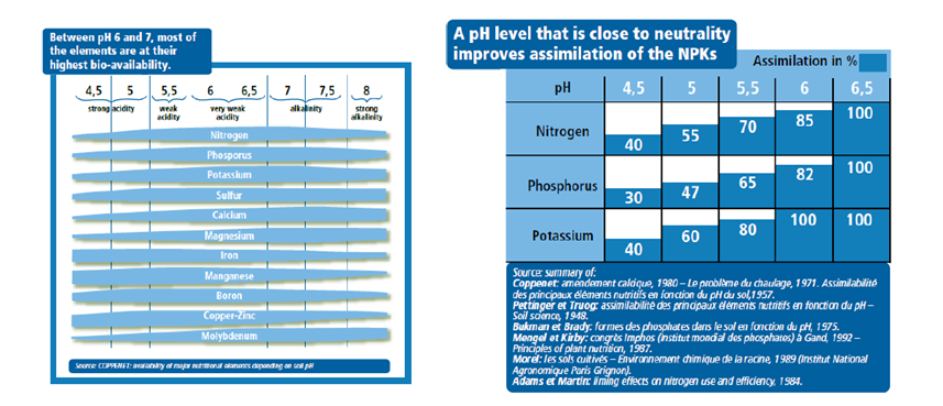 Fertiliser efficiency at acidic pH