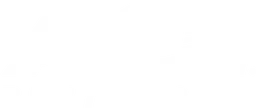 Ace Car Rentals