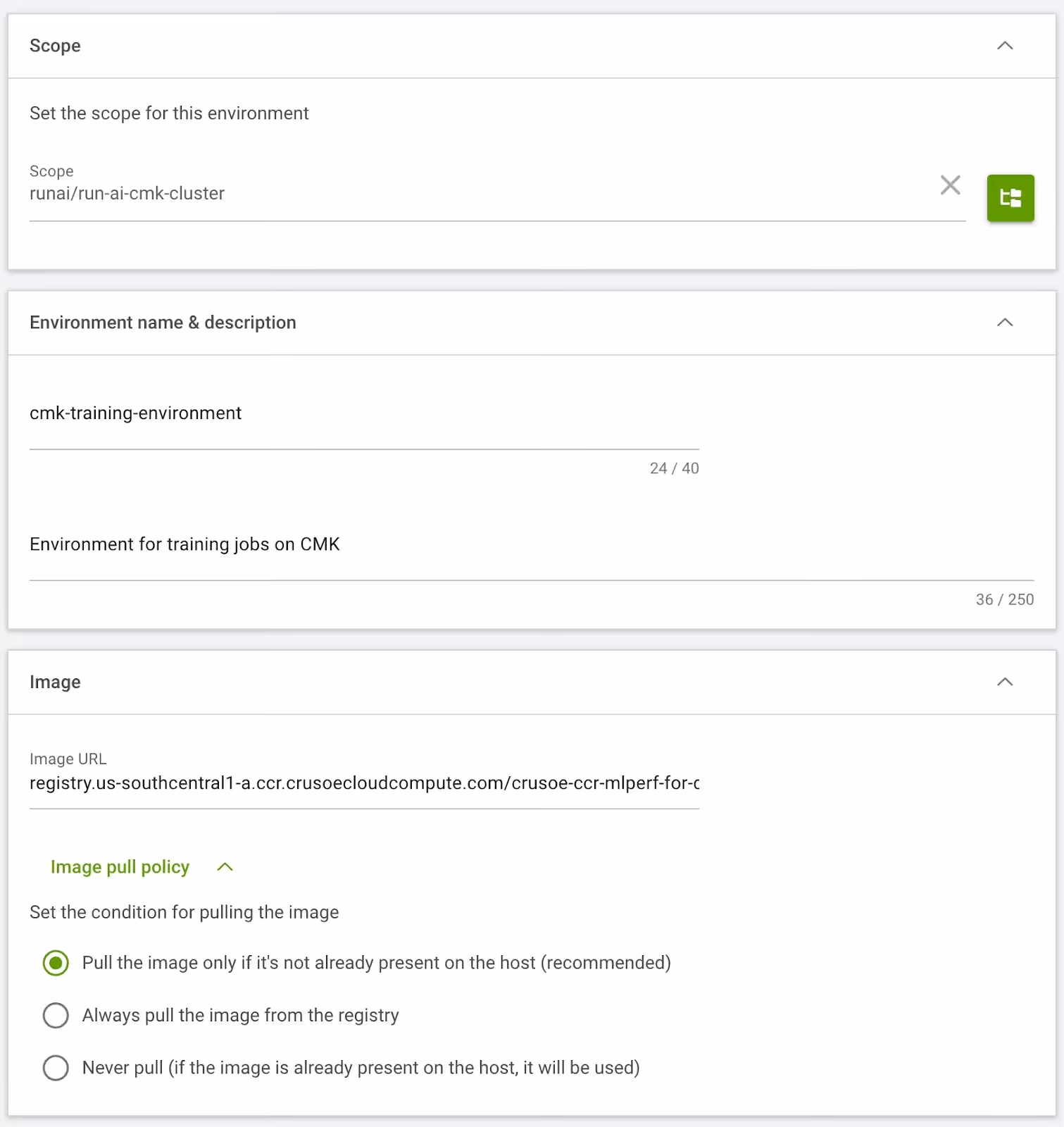 Run:ai environment form with training image URL and image pull policy settings.