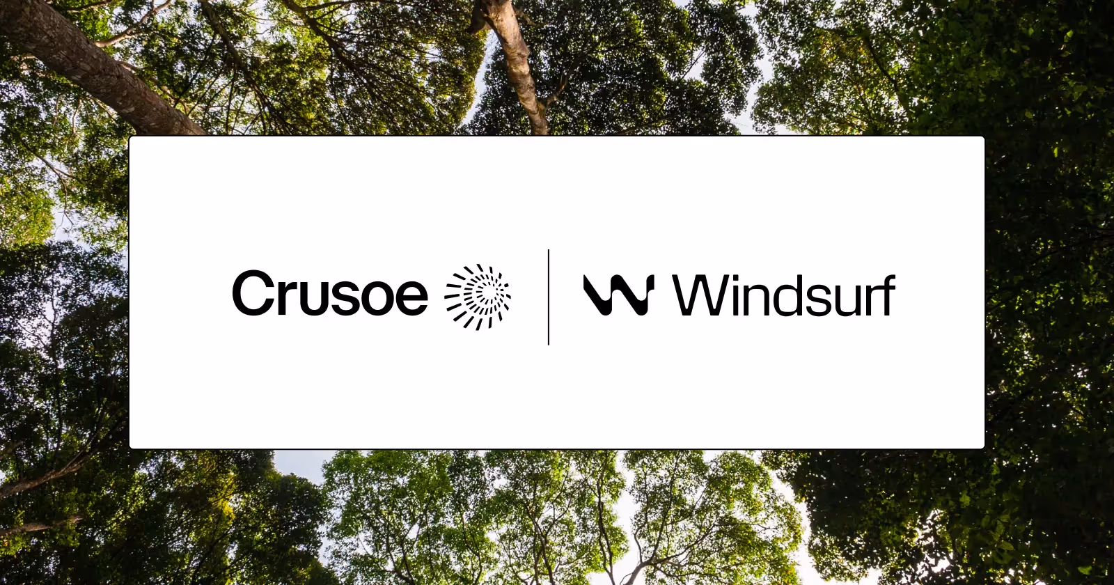 Crusoe and Windsurf logos over sand dunes.