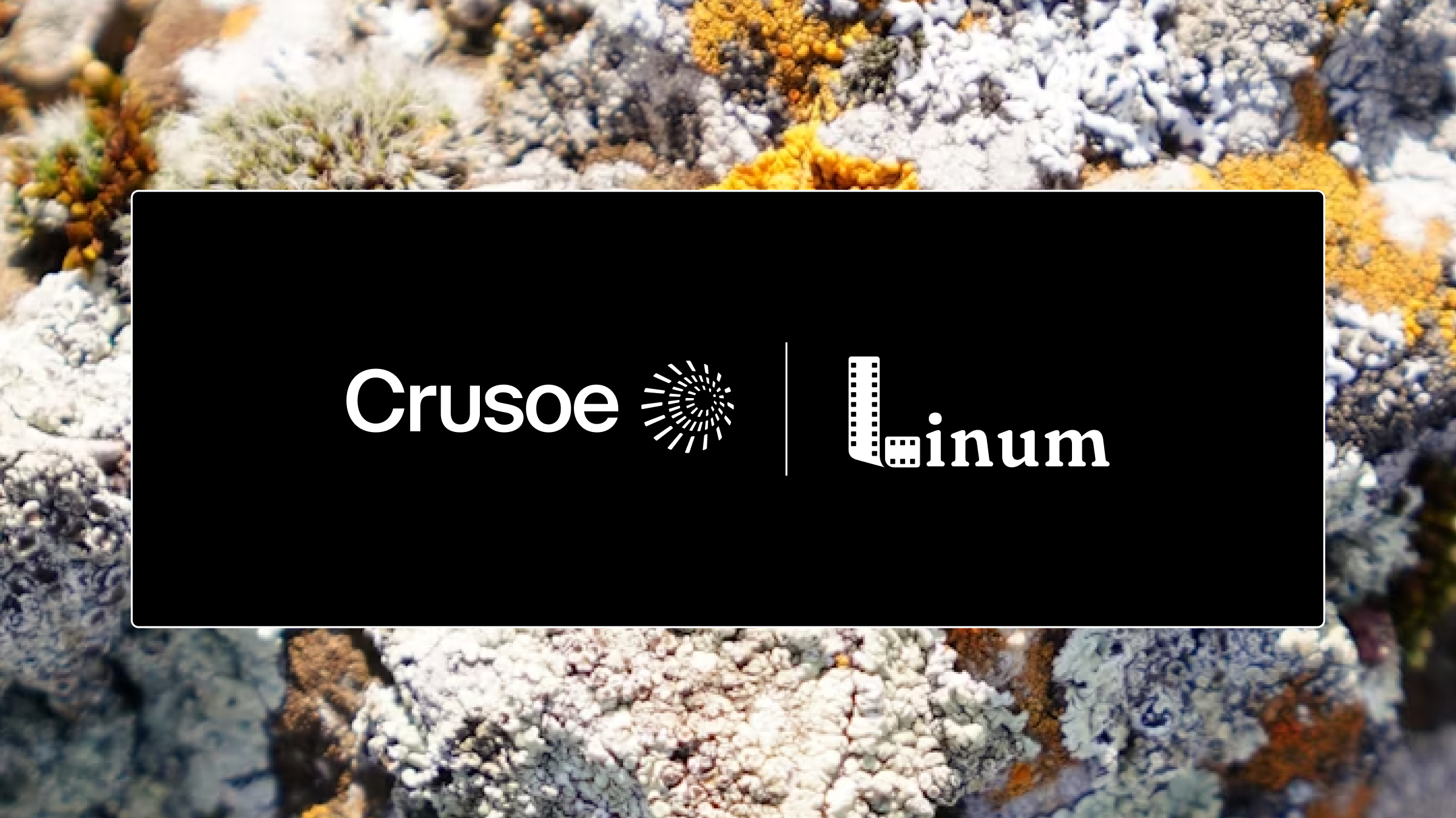 Crusoe and Linum logos side by side