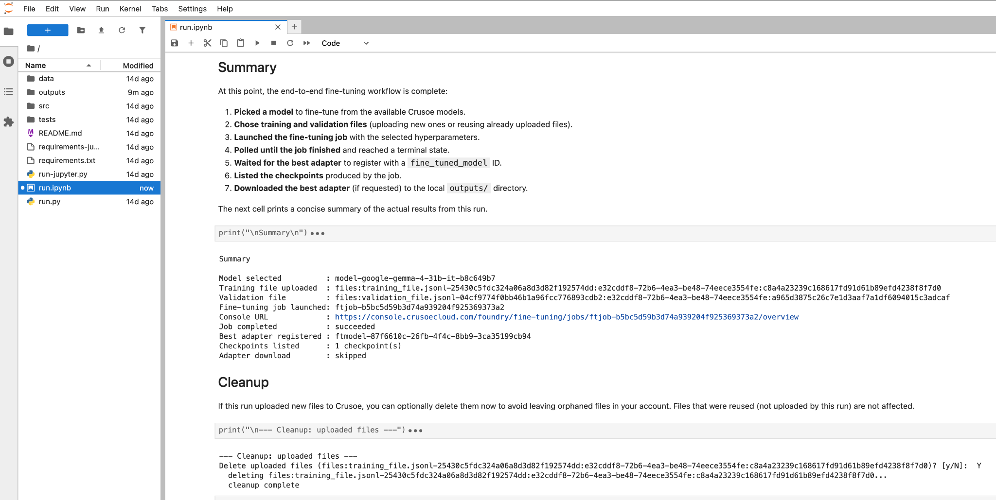 jupyter notebook
