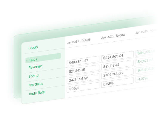 A light mint-green table displays financial data for January 2025.