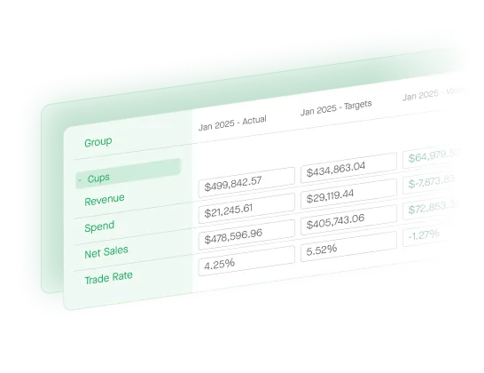 A light mint-green table displays financial data for January 2025.