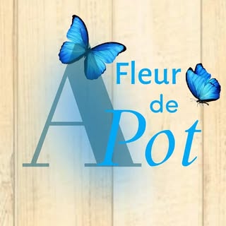 Logo avec texte 'A Fleur de Pot' et deux papillons bleus sur fond bois clair.