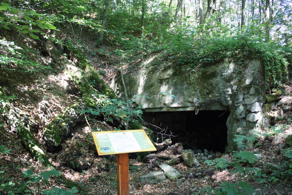 Екологічна стежка “Лінія Арпада” - Ужанський національний природний парк