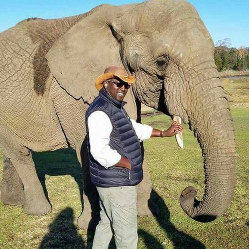 image of a secluded mountain lake surrounded by evergreen forests