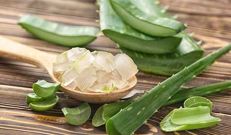 aloe vera as a natural remedy for acne treatment