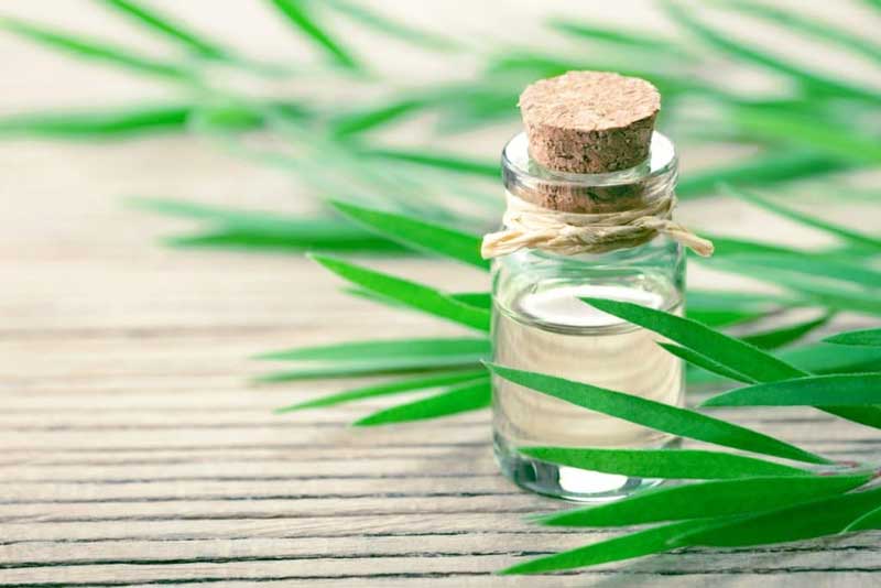 tea trea oil | Natural remedies acne treatment