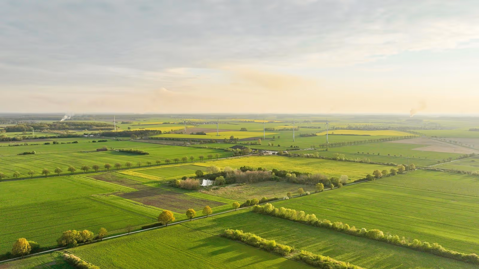 Luchtfoto weiland