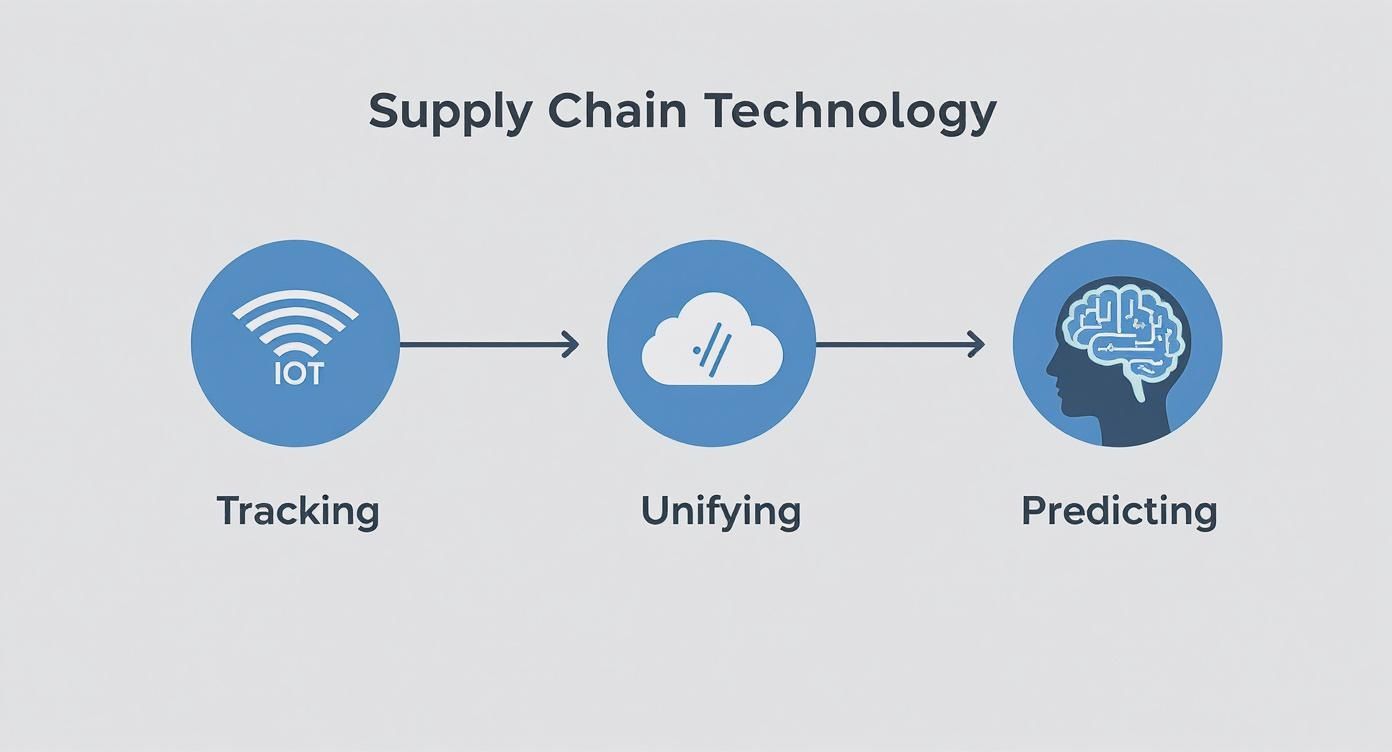 Infographic about supply chain visibility