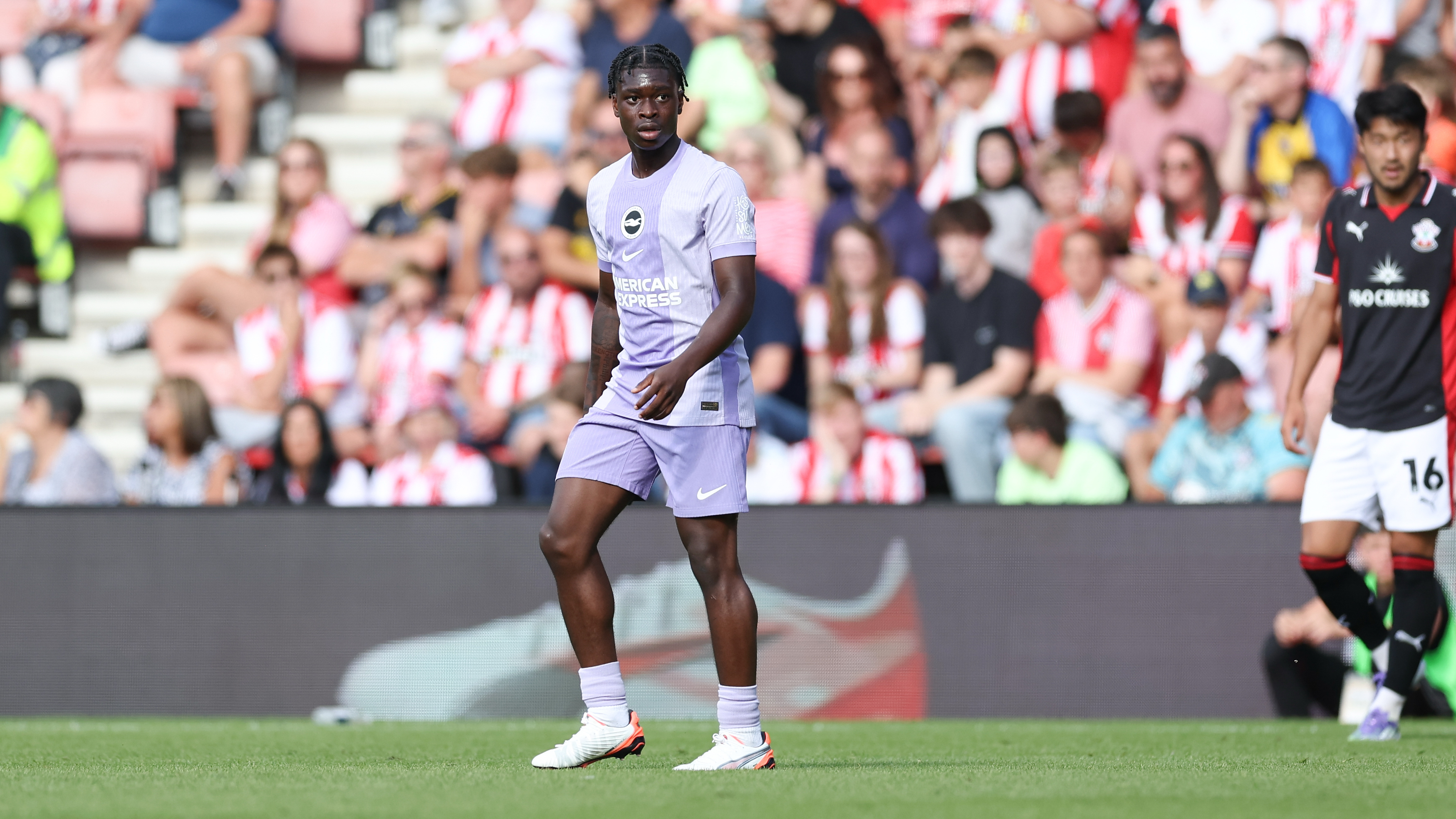 [background image] image of a playful puppy frolicking in the grass (for a veterinary clinic)
