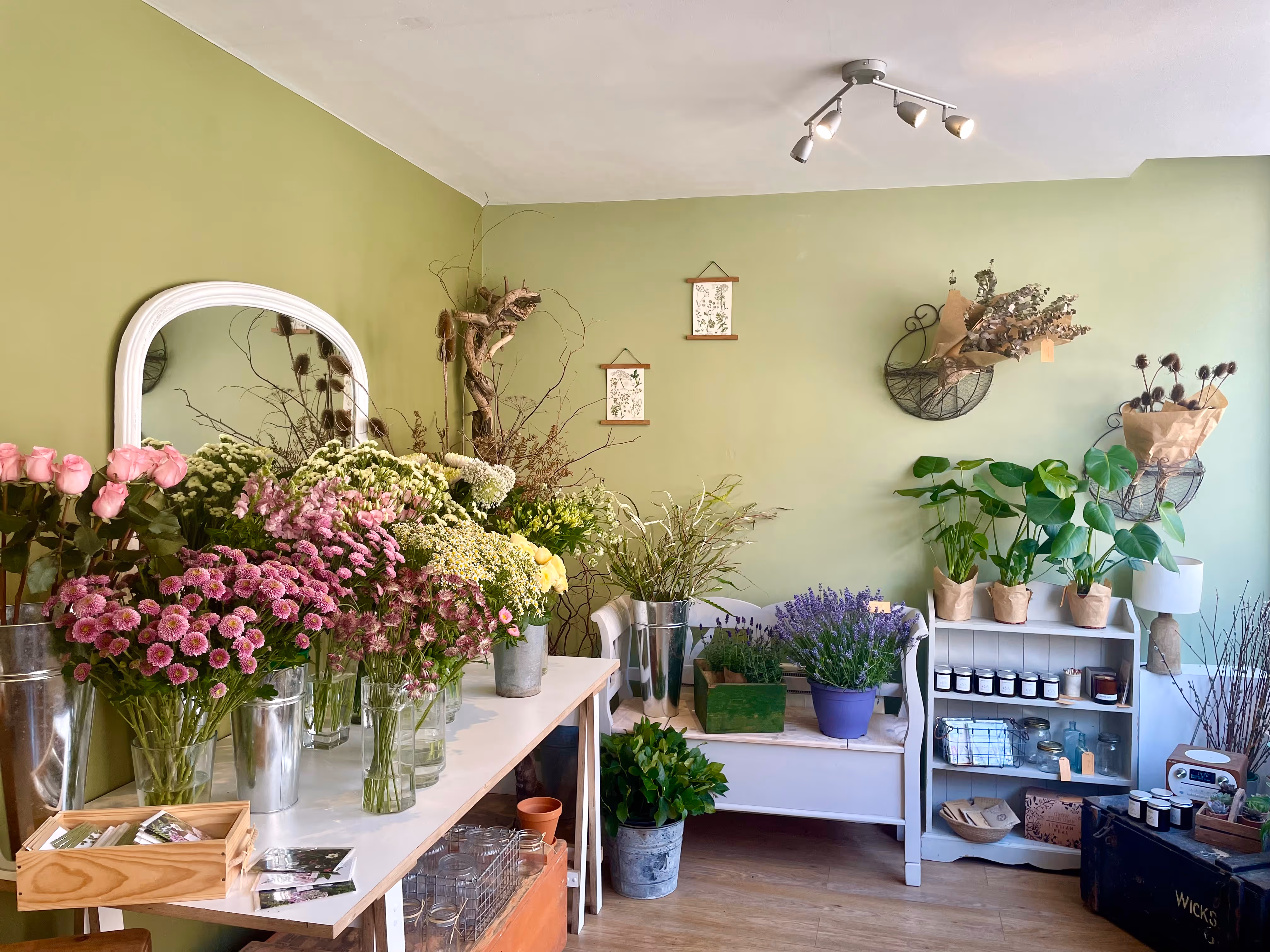 Interior of the florist, Parviflora