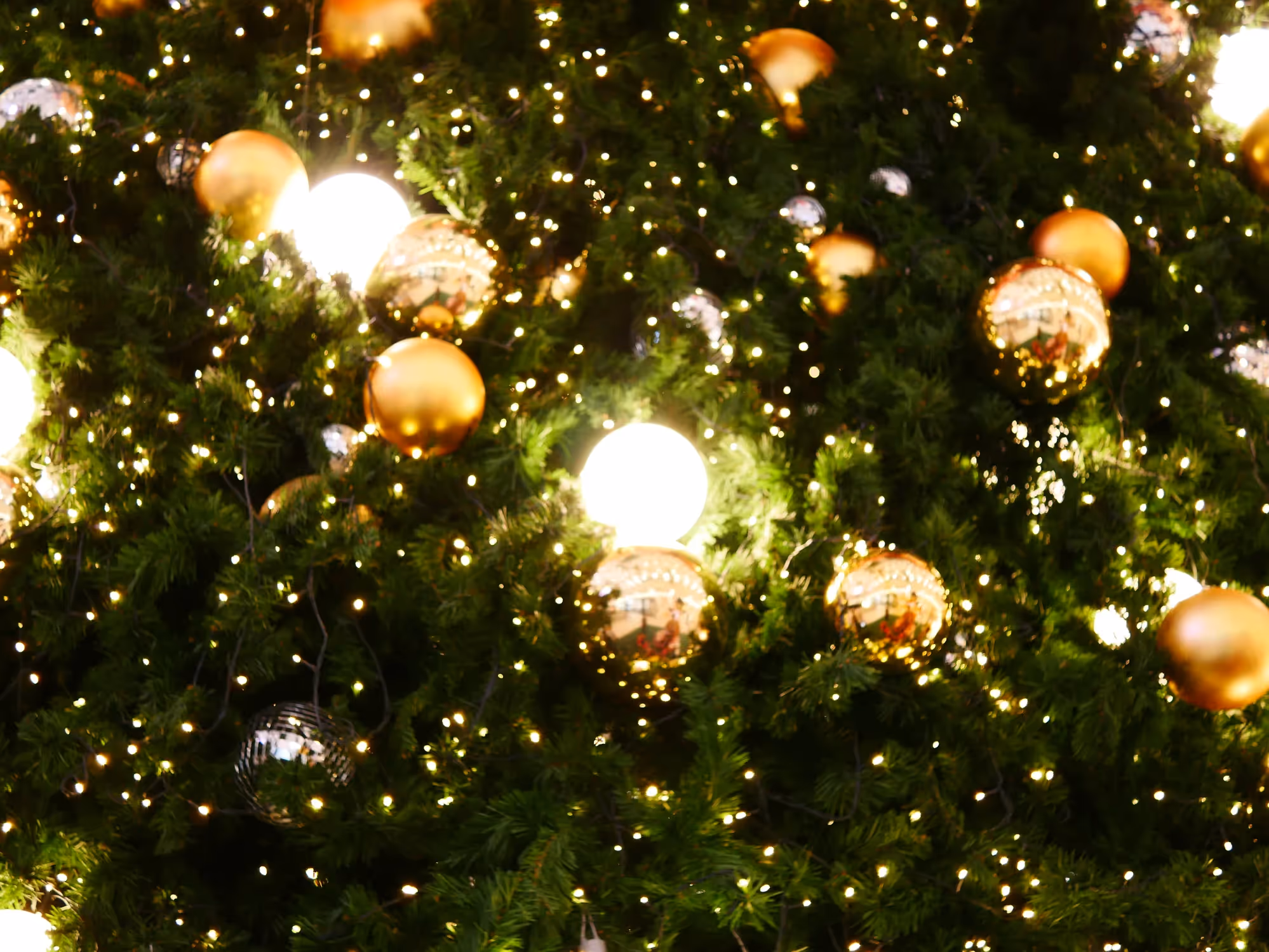 Close up photograph of a Christmas tree with golden lights and baubles