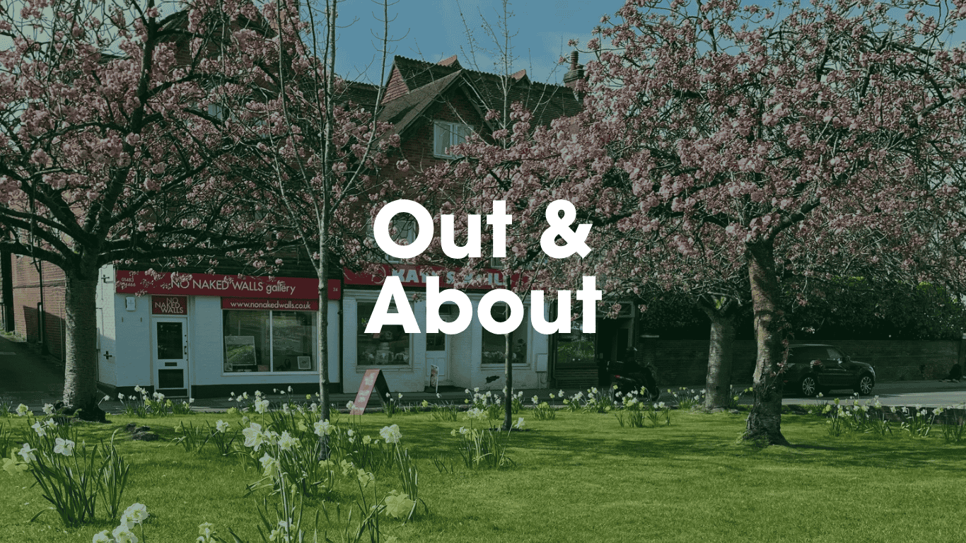Out & About image with blossom tree and art gallery shop in the background showing the village of Bramley
