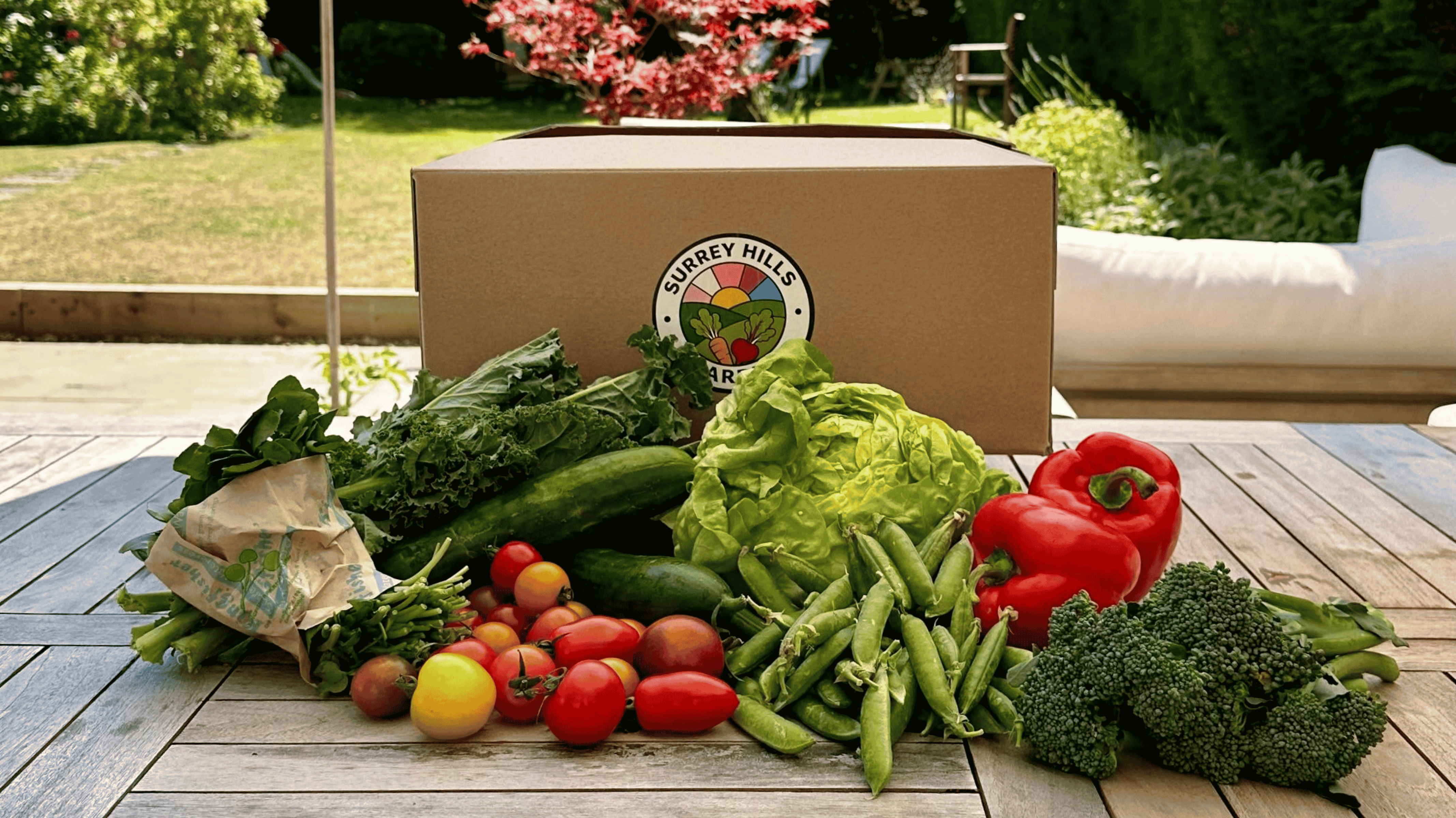 veg box surrounded by fresh seasonal vegetables including tomatoes, broccoli, peppers, peas, cucumber and kale, photographed in a sunny garden