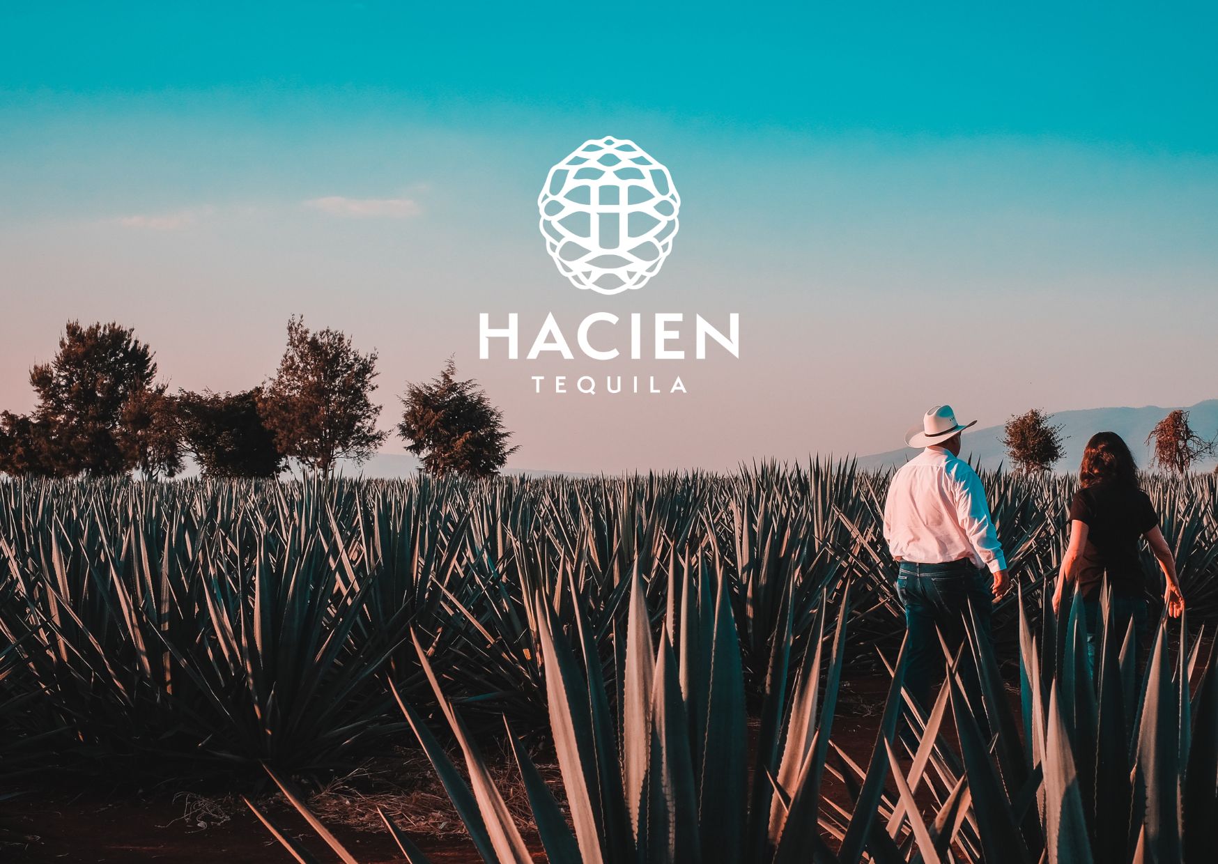 What is Tequila Made From? A Complete Guide to Mexico’s Iconic Spirit