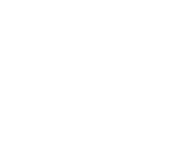 Brand Logo White