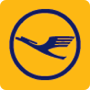 LH airline flag