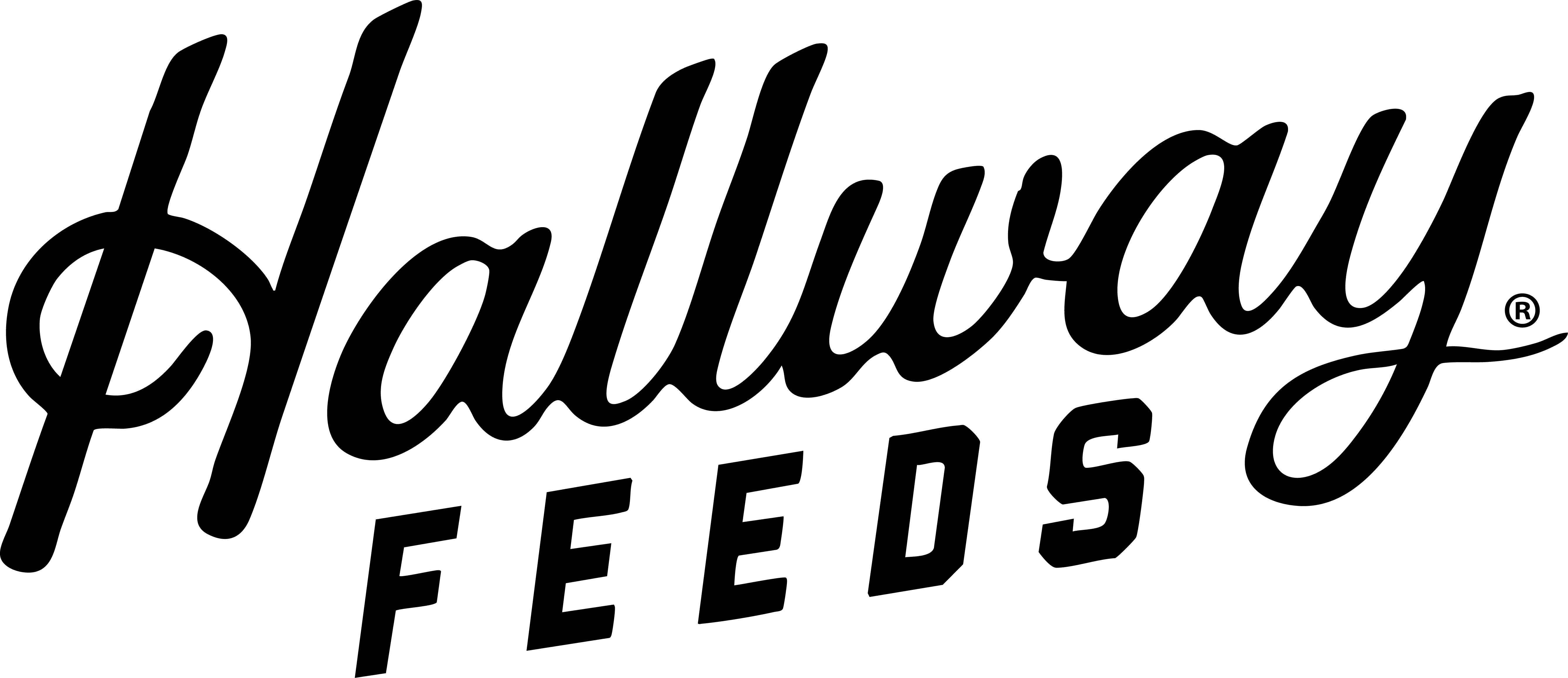 Hallway Feeds logo