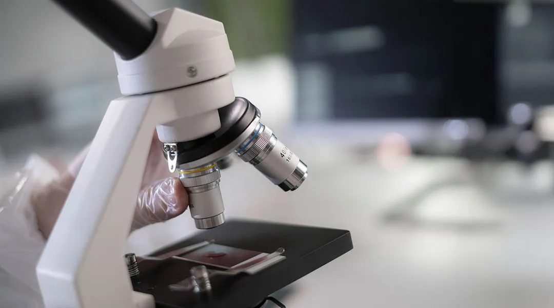 Close-up of a gloved hand adjusting lenses on a white laboratory microscope.