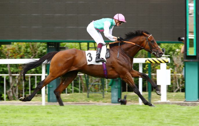 Saracen Thoroughbred Nutrition – Introducing Our Success Strategies.