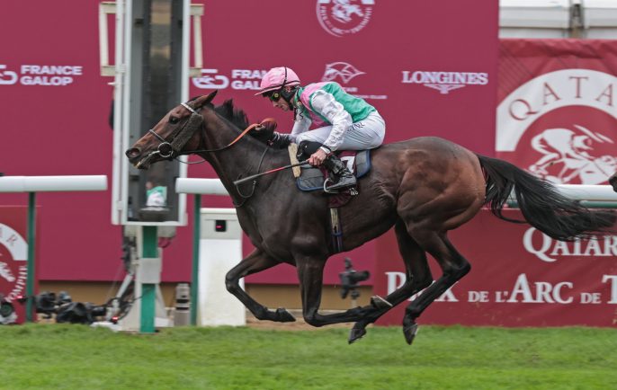 Introducing Saracen Thoroughbred Nutrition, with Our Success Strategies Tailored to Your Needs.