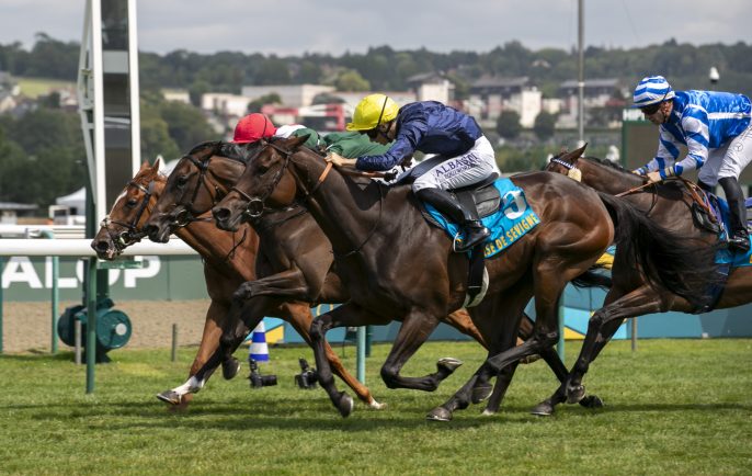 Saracen Thoroughbred Nutrition Advice for Your Success.