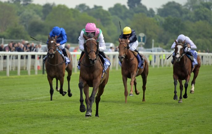 Introducing Saracen Thoroughbred Nutrition Advice in a Nutshell.