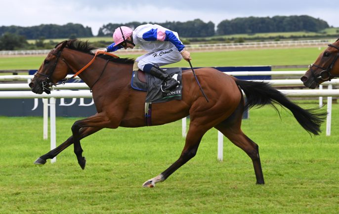 Saracen Thoroughbred Nutrition Advice in Simple Terms.